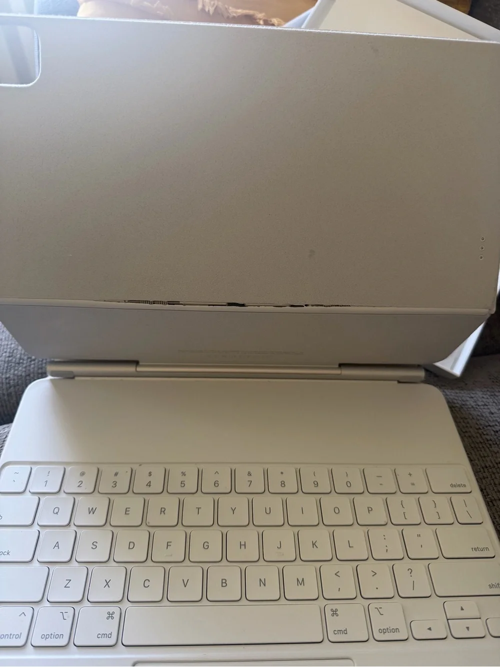 Apple Magic Keyboard - White and Silver Finish